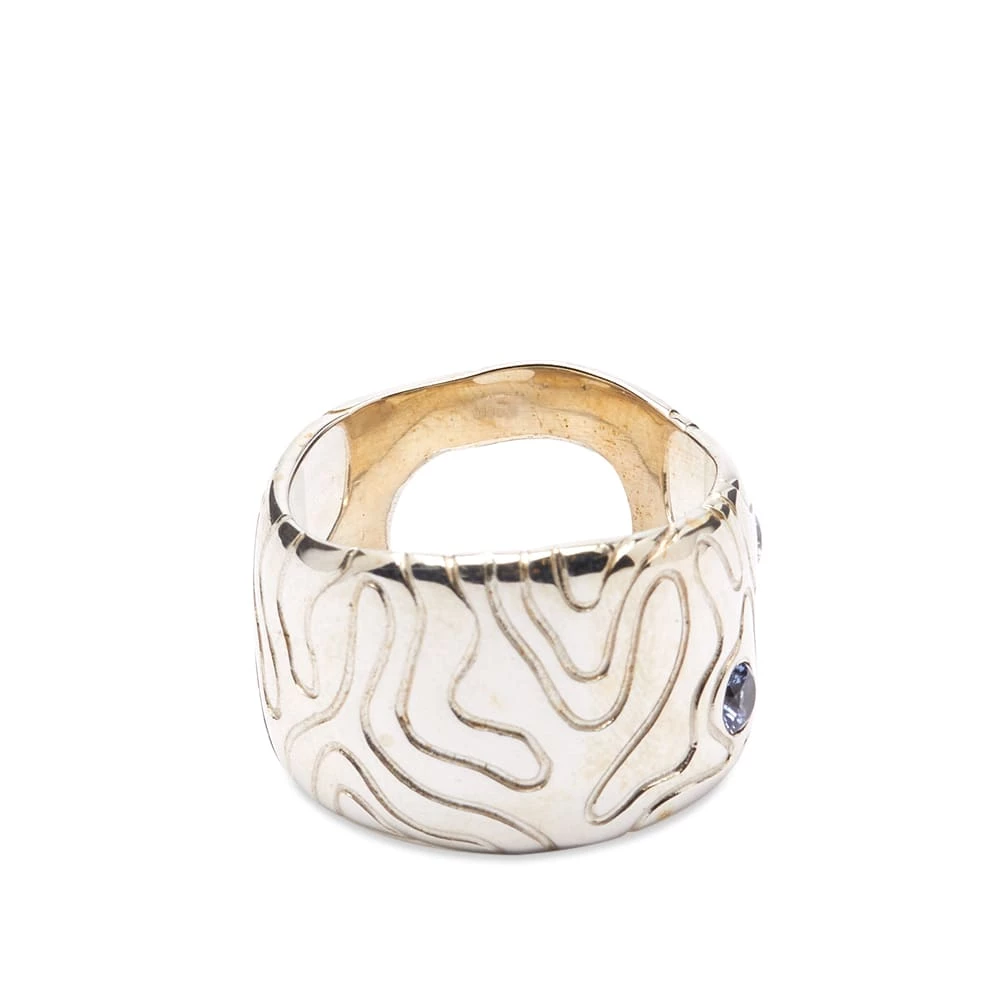 Octi Globe Island 002 Ring